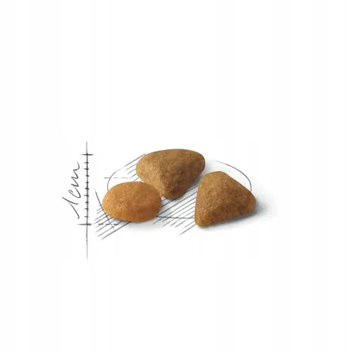 royal-savour-exigent-2kg-marka-royal-canin