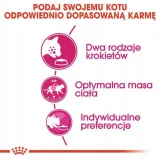 royal-savour-exigent-2kg-wiek-zwierzecia-koty-dorosle