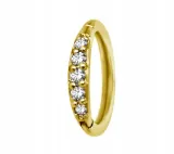 ss316l-bg-hinged-segment-ring-1x7-m01-5x-wh