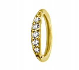 ss316l-bg-hinged-segment-ring-1x7-m01-5x-wh
