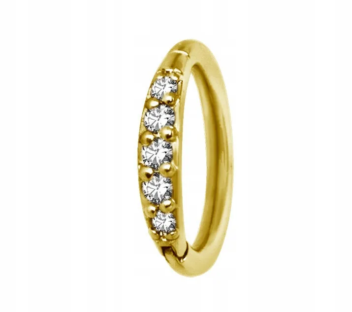 ss316l-bg-hinged-segment-ring-1x7-m01-5x-wh-stan-nowy
