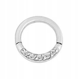 ss316l-hinged-segment-ring-12x6-wh-m01