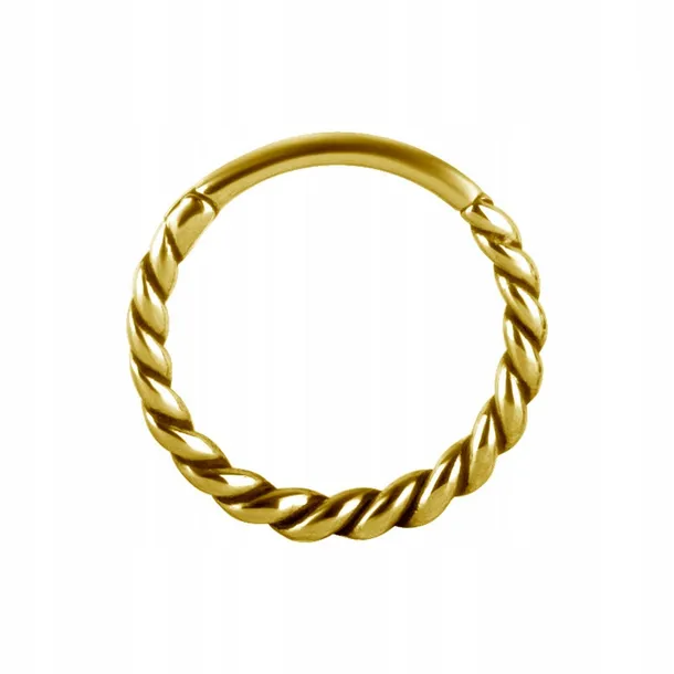 ss316l-bg-hinged-segment-ring-12x13-conch-m10