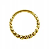 ss316l-bg-hinged-segment-ring-12x13-conch-m10