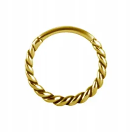 ss316l-bg-hinged-segment-ring-12x13-conch-m10