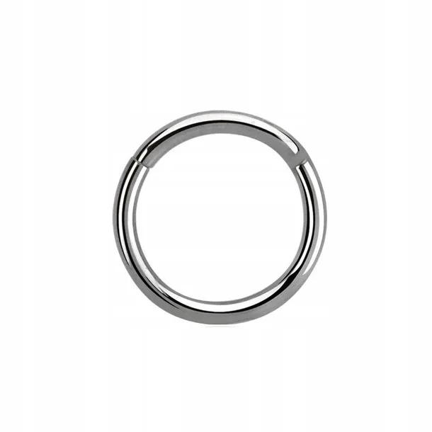 ss316l-hinged-segment-ring-12x6