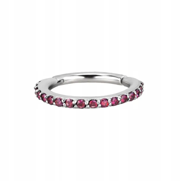 ss316l-hinged-segment-nose-ring-12x8-re