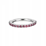 ss316l-hinged-segment-nose-ring-12x8-re