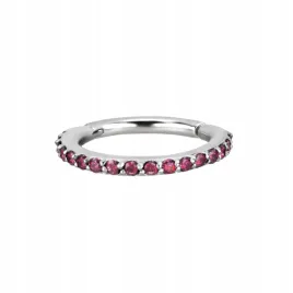 ss316l-hinged-segment-nose-ring-12x8-re