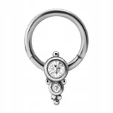 ss316l-hinged-segment-ring-12x9-cluster-2x-cz