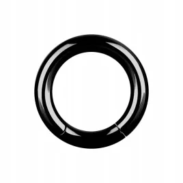 ss316l-bk-hinged-segment-ring-4x8