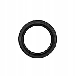 ss316l-bk-hinged-segment-ring-3x14