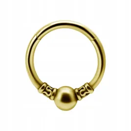 ss316l-bg-hinged-segment-ring-12x8-m32