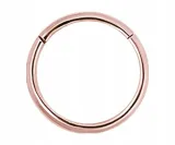 ss316l-rg-hinged-segment-ring-1x5