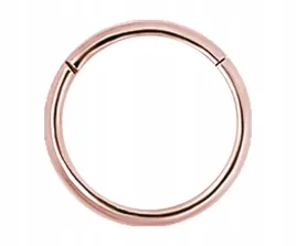 ss316l-rg-hinged-segment-ring-1x5
