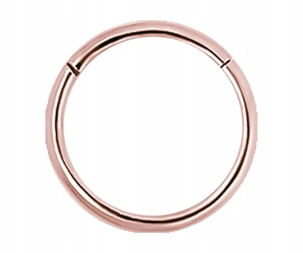 ss316l-rg-hinged-segment-ring-1x5-stan-nowy