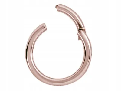 ss316l-rg-hinged-segment-ring-1x5-stan-nowy