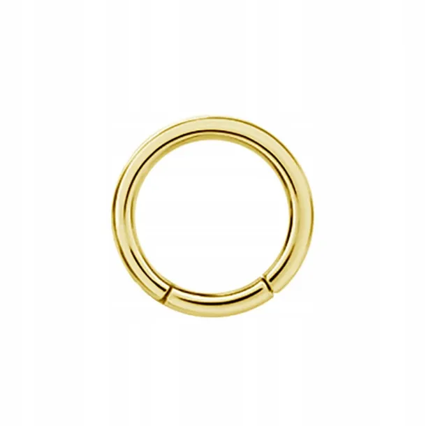 ss316l-bg-hinged-segment-ring-25x16