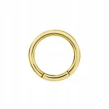 ss316l-bg-hinged-segment-ring-25x16