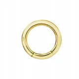 ss316l-bg-hinged-segment-ring-3x14