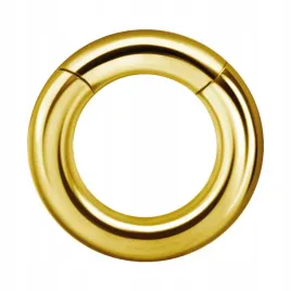 ss316l-bg-hinged-segment-ring-5x12
