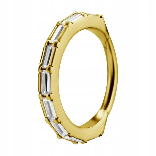 ss316l-bg-hinged-segment-ring-12x12-conch-wh-m41