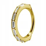 ss316l-bg-hinged-segment-ring-12x12-conch-wh-m41
