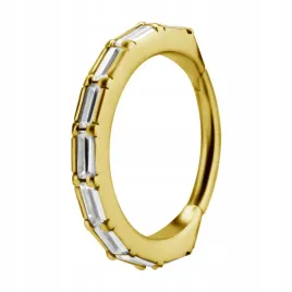 ss316l-bg-hinged-segment-ring-12x12-conch-wh-m41