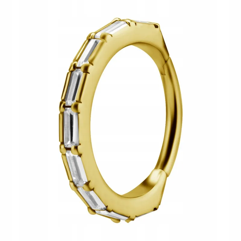 ss316l-bg-hinged-segment-ring-12x12-conch-wh-m41-stan-nowy