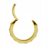 ss316l-bg-hinged-segment-ring-12x12-conch-wh-m41-stan-nowy