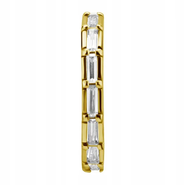 ss316l-bg-hinged-segment-ring-12x12-conch-wh-m41-kolor-dominujacy-bezbarwny