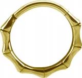 ss316l-bg-hinged-segment-ring-12x12-bamboo-conch