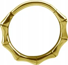 ss316l-bg-hinged-segment-ring-12x12-bamboo-conch