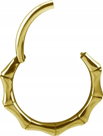 ss316l-bg-hinged-segment-ring-12x12-bamboo-conch-stan-nowy