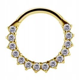 cocr-nf-bg-hinged-segment-ring-12x6-wh-m113