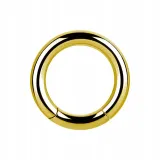 ss316l-bg-hinged-segment-ring-4x22