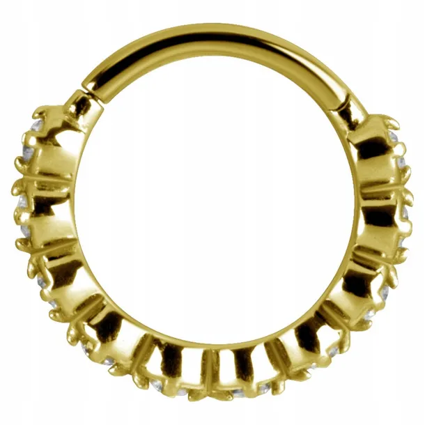 ss316l-bg-hinged-segment-ring-12x10-bk-m10-stan-nowy