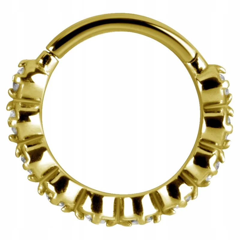 ss316l-bg-hinged-segment-ring-12x10-bk-m10-stan-nowy