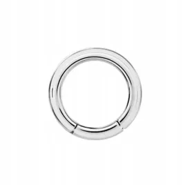 ss316l-hinged-segment-ring-3x20