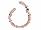 ss316l-rg-hinged-segment-ring-1x10-stan-nowy