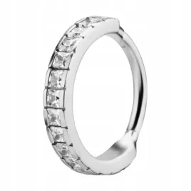 ss316l-hinged-segment-ring-12x6-wh-m40