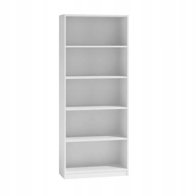 regal-r60-biel