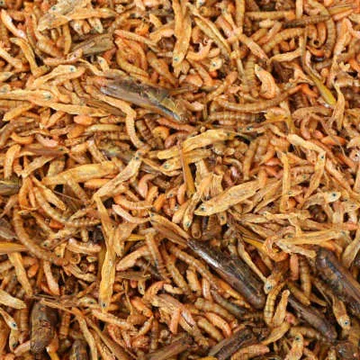 futterparadies-bialkowy-mix-40g