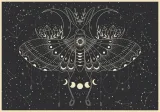 puzzle-500-elementow-galaxy-2-interdruk-stan-nowy