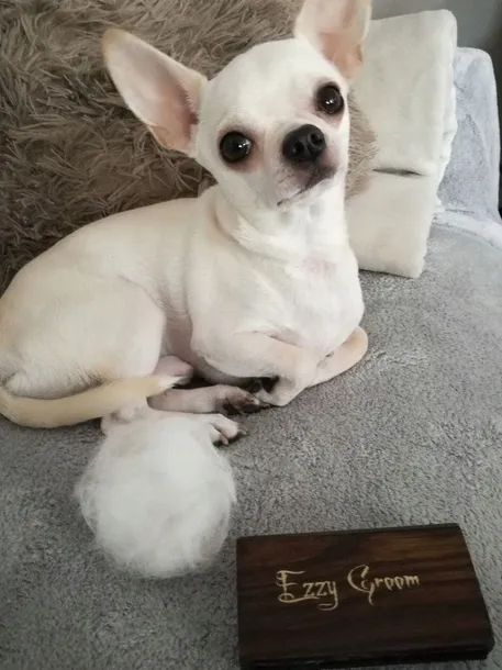 ezzy-groom-szczotka-dla-psa-siersc-miekka-twarda-waga-z-opakowaniem-0-1-kg