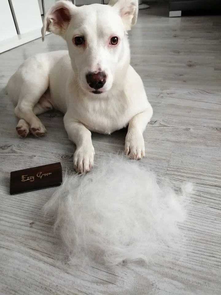 ezzy-groom-szczotka-dla-psa-siersc-miekka-twarda