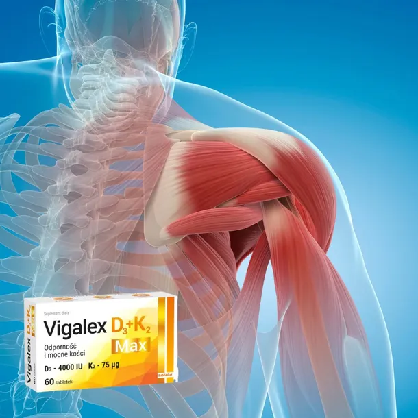 vigalex-max-d3-k2-60-tab