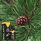 olejek-eteryczny-sosna-30ml