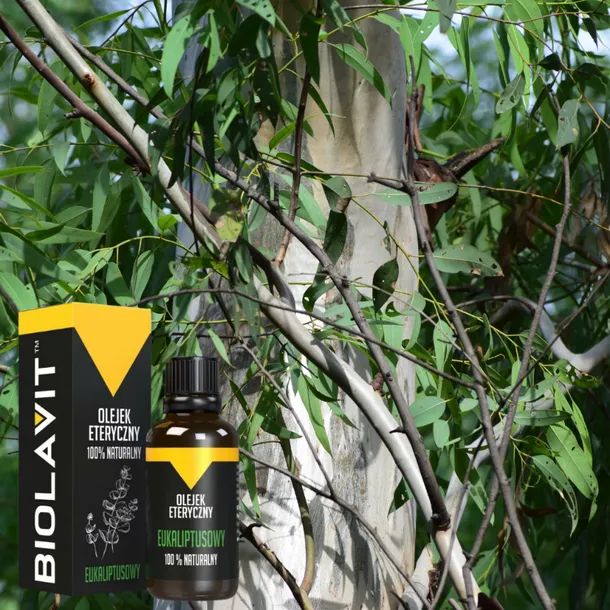 olejek-eteryczny-eukaliptus-30ml