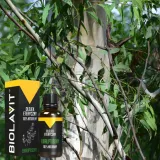 olejek-eteryczny-eukaliptus-30ml